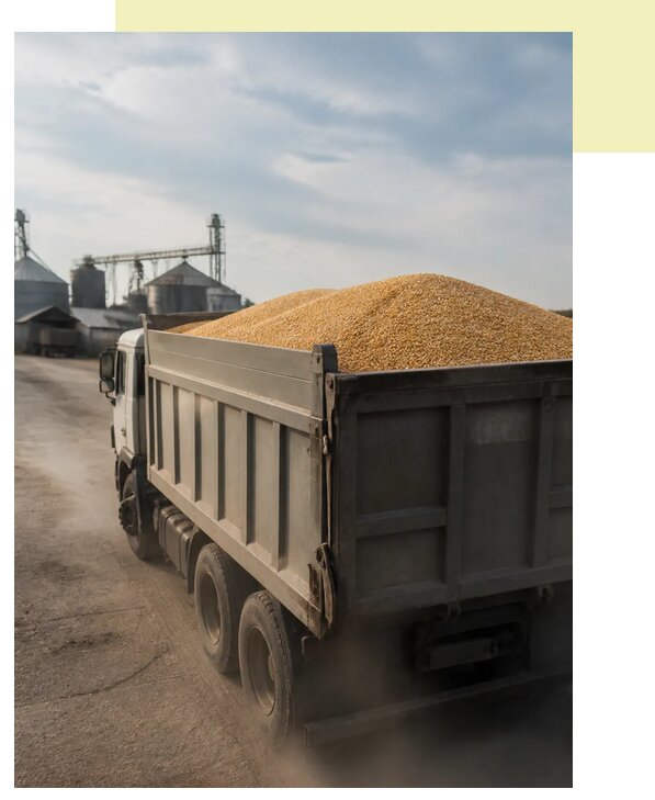 Перевозка сельхозпродукции навалом в Тейково по цене от 3262 р. | Агросервис-Ткв