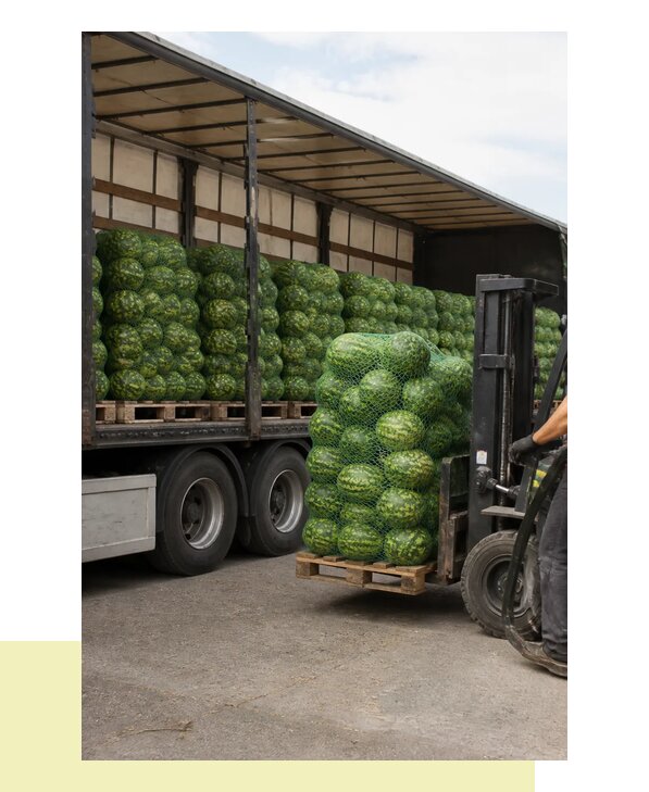 Перевозка арбузов оптом с доставкой в Тейково из регионов